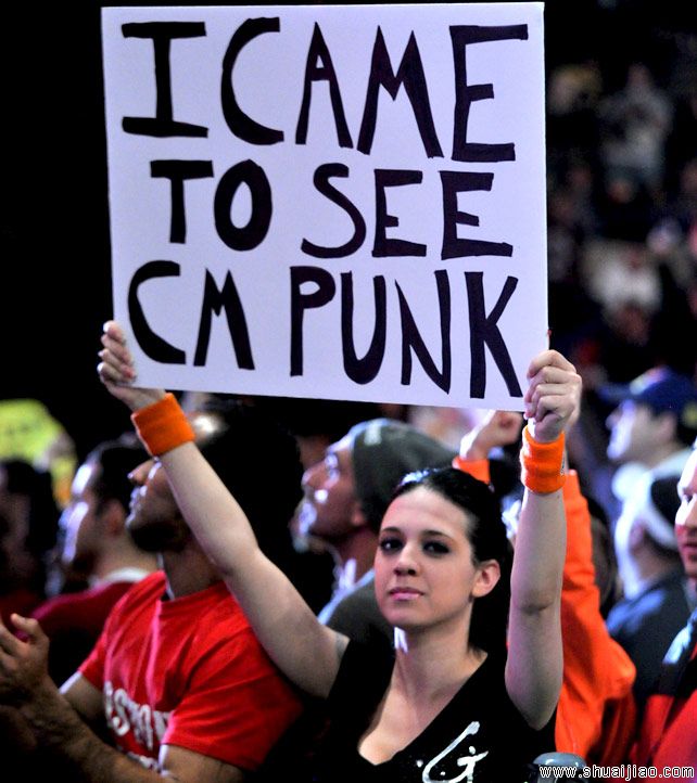 RAW粉丝现场标语大荟萃牌(2013.11.26) 