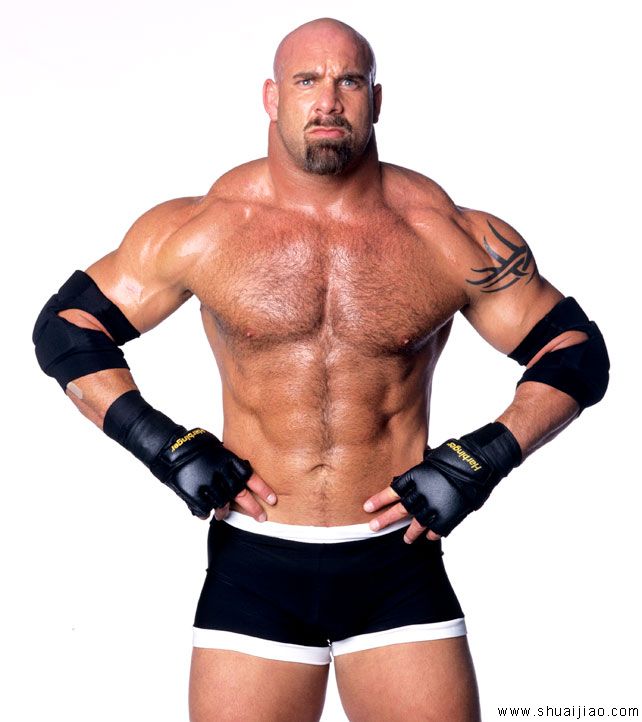 WWE令人难忘的犹太巨星