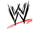 WWE推网络平台 或影响选手收入