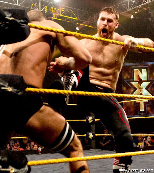 NXT 2013.12.19完整比赛图片