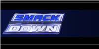 WWE2013劳军节目赛程