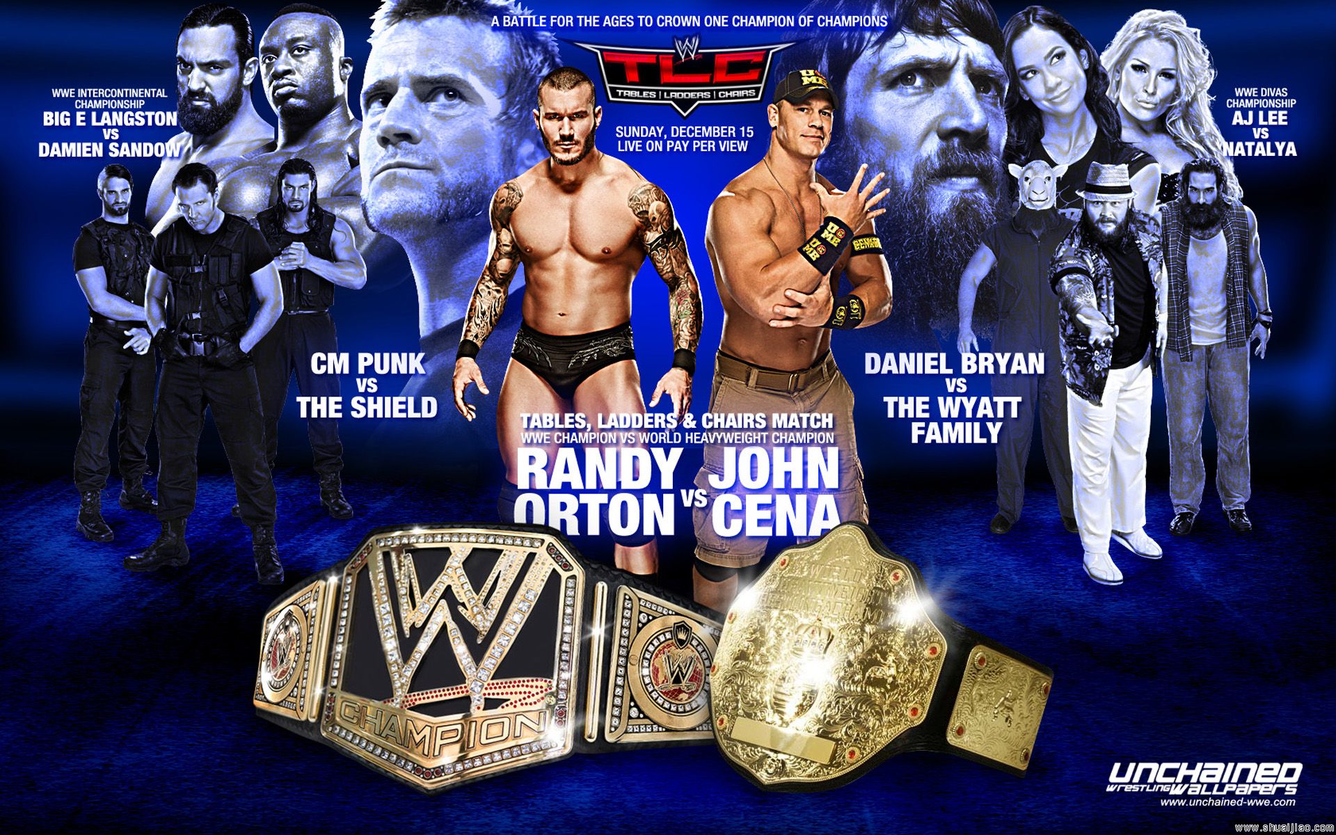 WWE TLC2013高清桌面