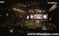 WWE冠军腰带动态图集锦