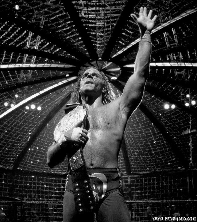 WWE铁笼密室经典比赛对手图片