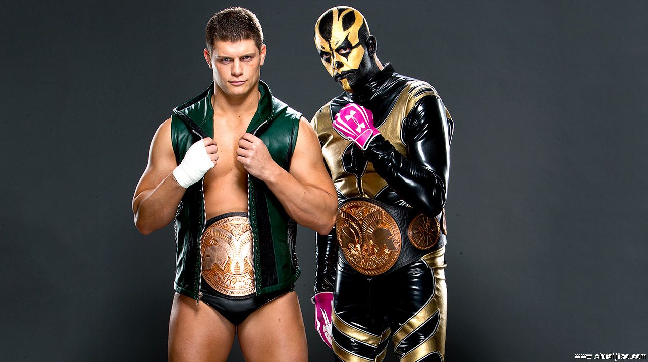 赢得WWE双打冠军的兄弟组合