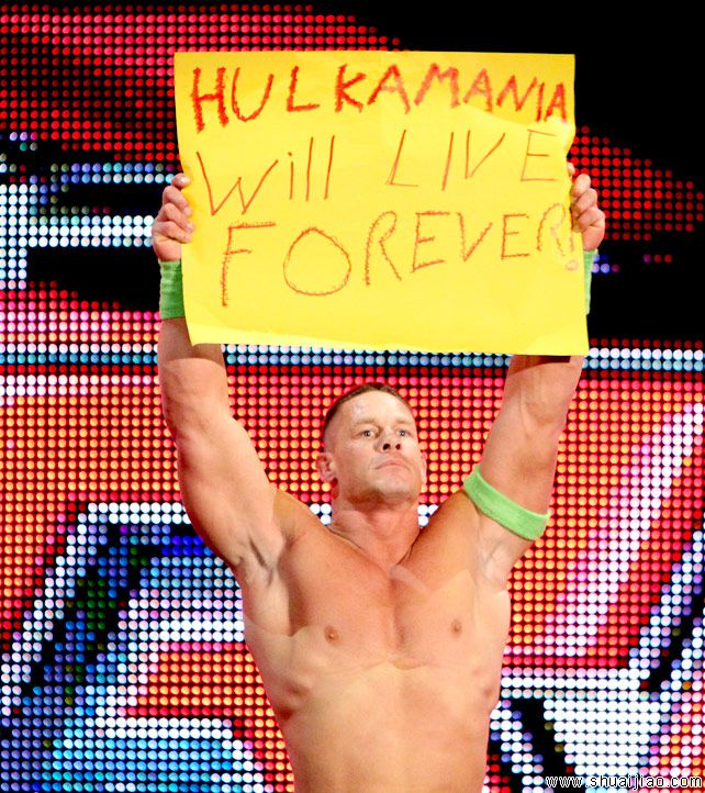 RAW粉丝现场标语大荟萃牌(2014.03.11) 