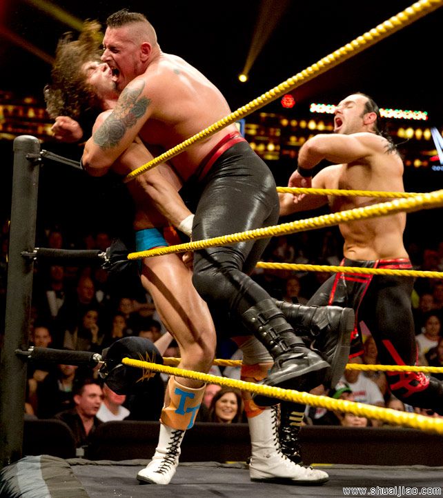 NXT 2014.03.14完整比赛图片