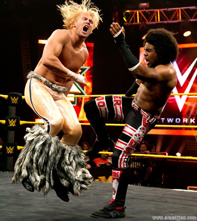 NXT 2014.03.28完整比赛图片