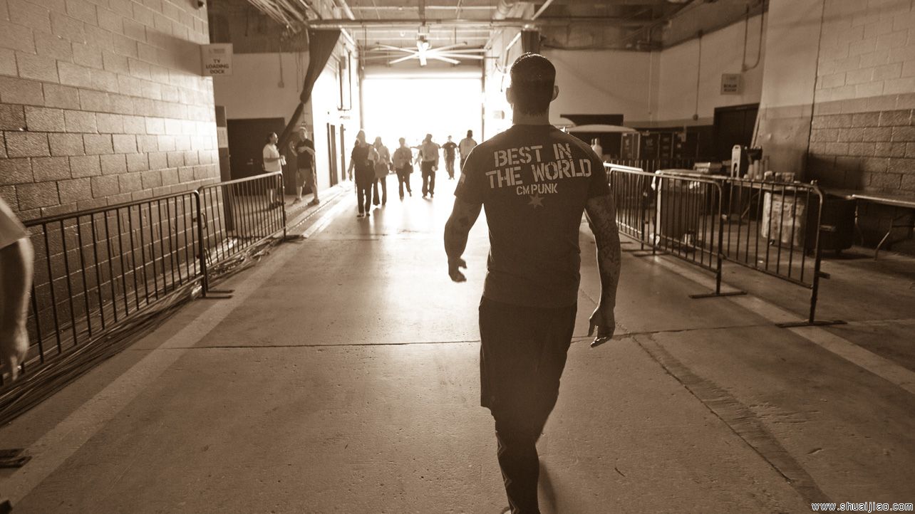 WWE最佳摔角狂热日记图集