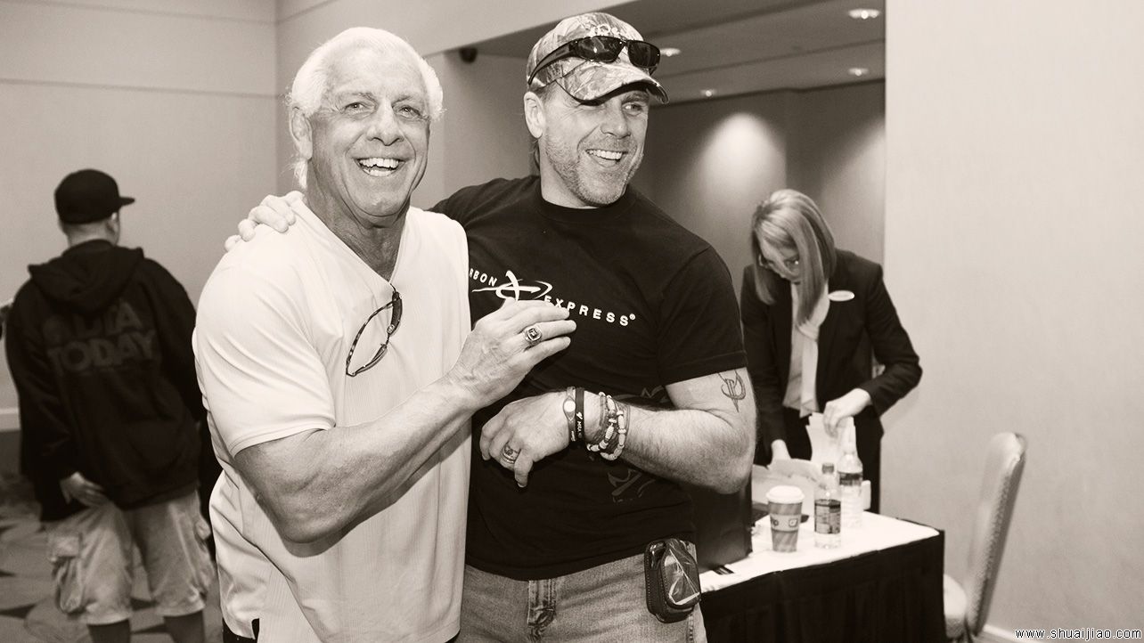 WWE最佳摔角狂热日记图集