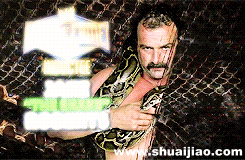 WWE 2014名人堂成员动态图