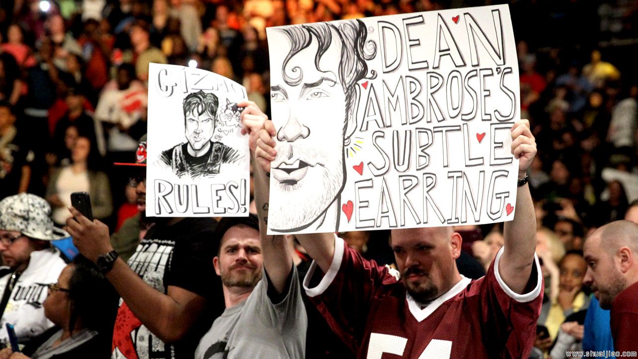 RAW现场标语大荟萃牌(2014.04.22) 