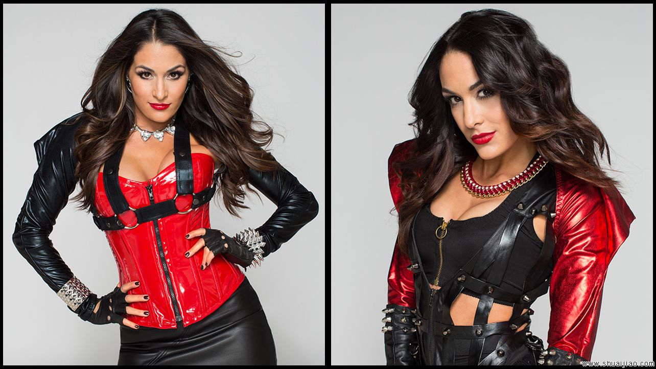 WWE传奇女郎皮衣写真