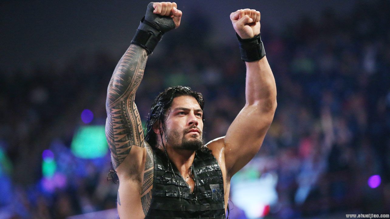 圣盾 vs 怀亚特家族《Raw 2014.05.06》