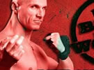 TNA都市狂情组合或将在ROH《世界最强》PPV重组