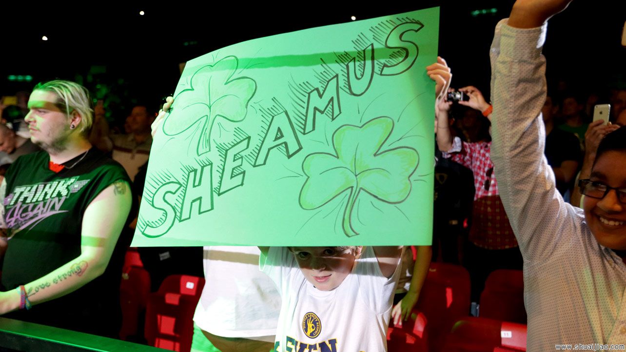 WWE英国伯明翰巡演（2014年5月）