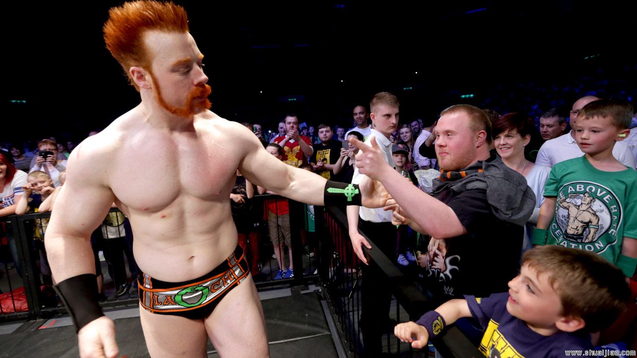 WWE英国伯明翰巡演（2014年5月）