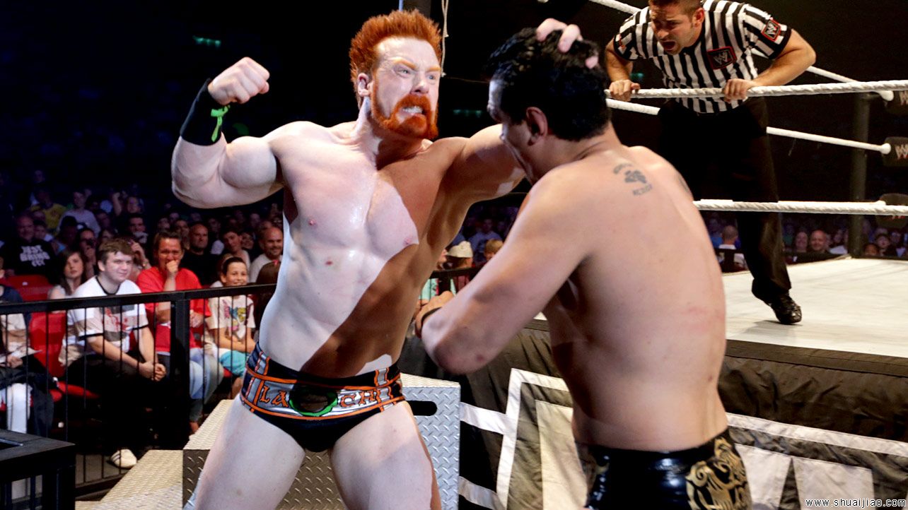 WWE英国伯明翰巡演（2014年5月）