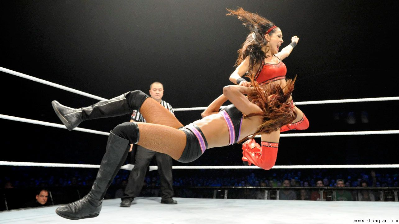 WWE北爱尔兰贝尔法斯特巡演（2014年5月）