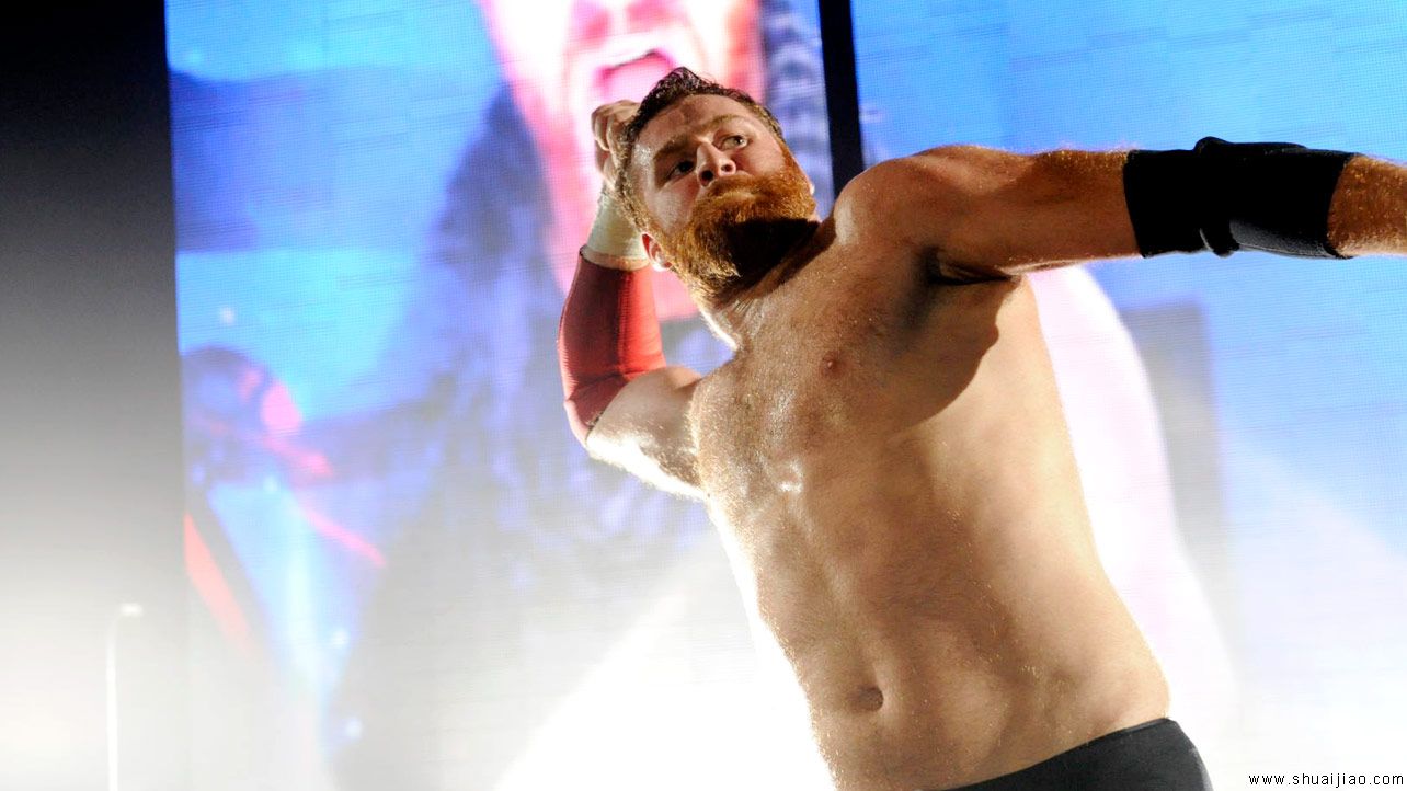 WWE北爱尔兰贝尔法斯特巡演（2014年5月）