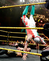 NXT TakeOver 2014