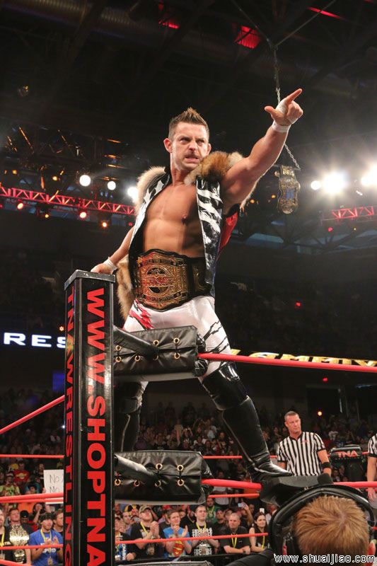 TNA Slammiversary 2014比完整比赛图片