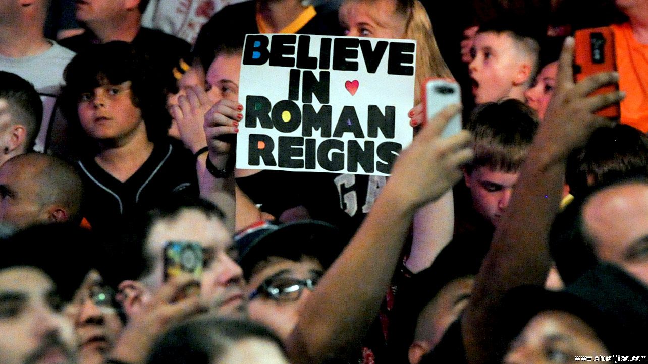 RAW粉丝现场标语大荟萃牌(2014.06.17) 