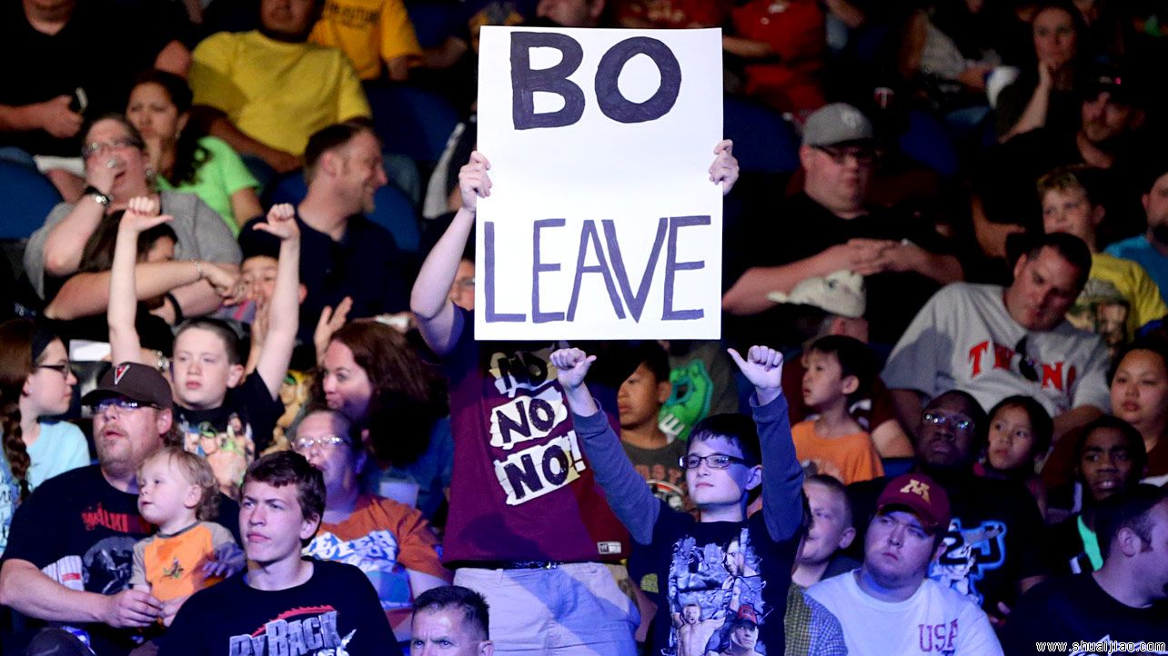 RAW粉丝现场标语大荟萃牌(2014.06.17) 