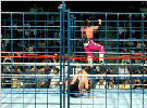 #6 布雷特·哈特 vs. 欧文·哈特: 《SummerSlam 1994》