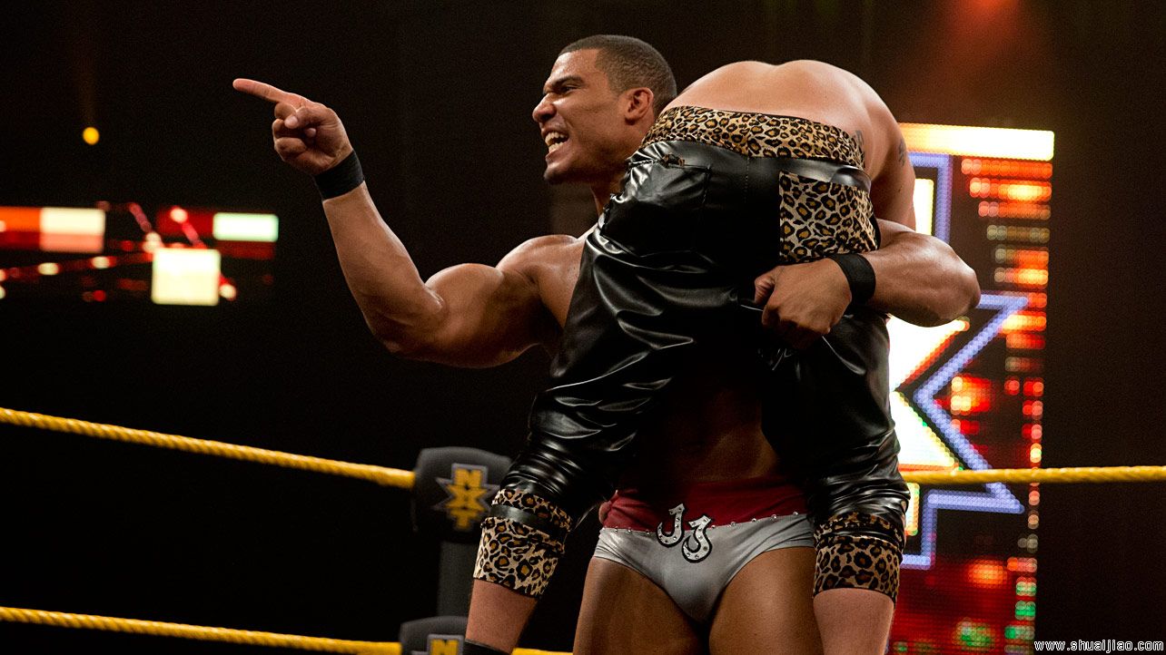 NXT 2014.08.08完整比赛图片
