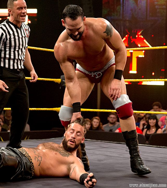 NXT 2014.08.08完整比赛图片