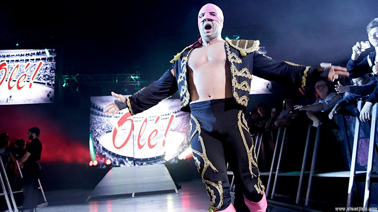 WWE澳大利亚帕斯现场秀（2014年8月）