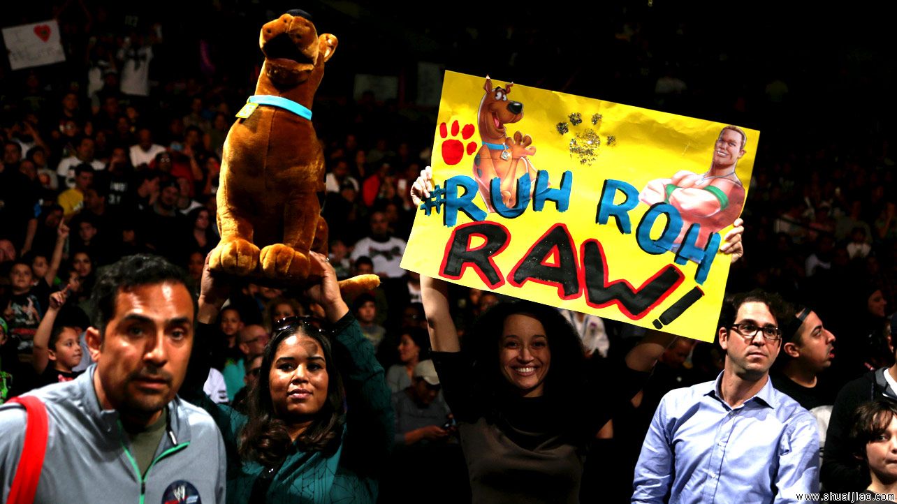 RAW粉丝现场标语大荟萃牌(2014.08.12) 