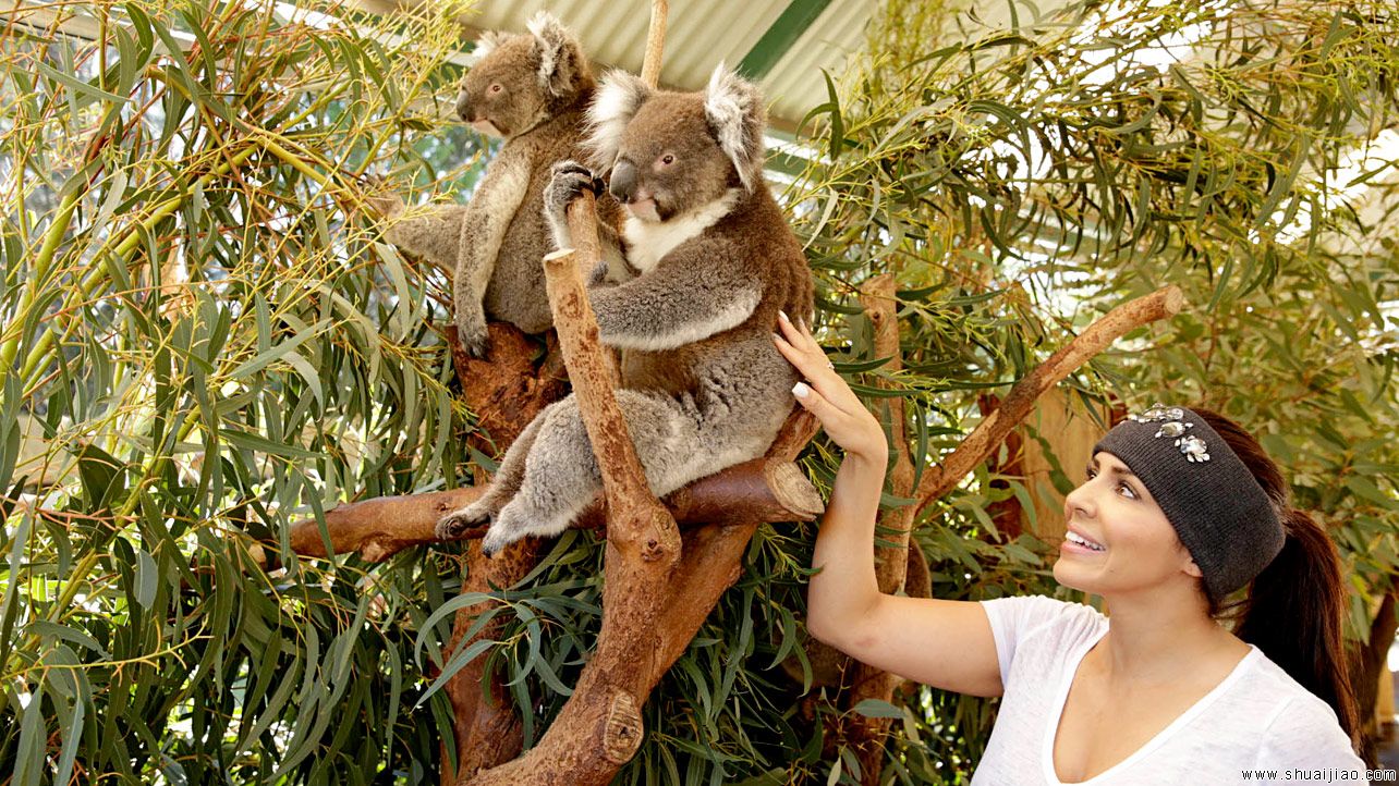 艾玛和蕾拉在澳大利亚珀斯野生动物园