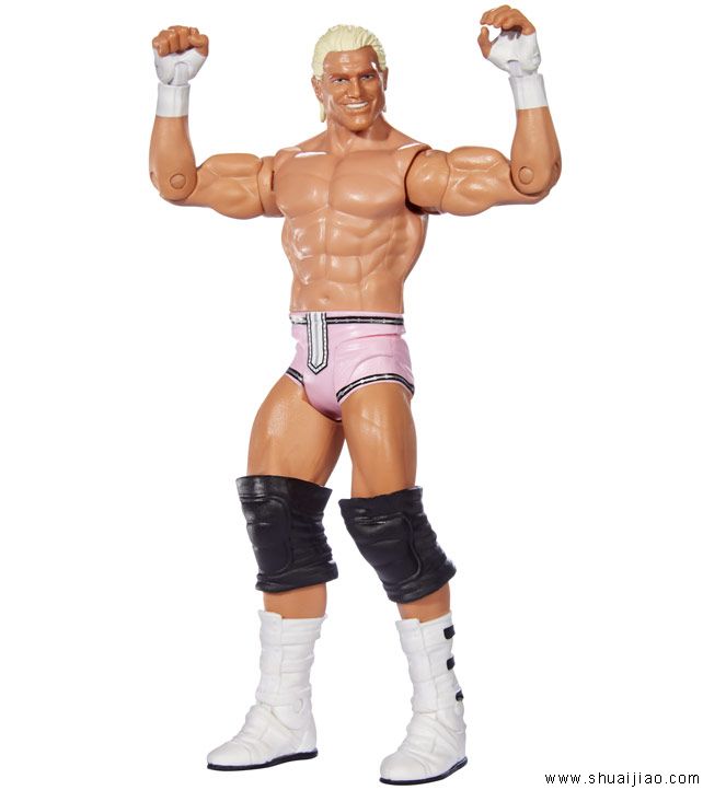 美泰公司WWE玩偶系列38