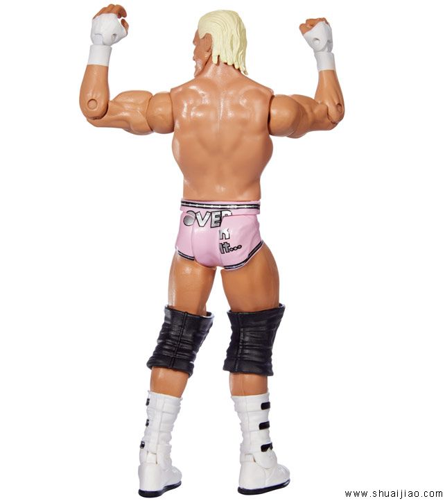 美泰公司WWE玩偶系列38
