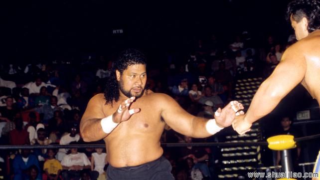 50位最伟大的WCW巨星