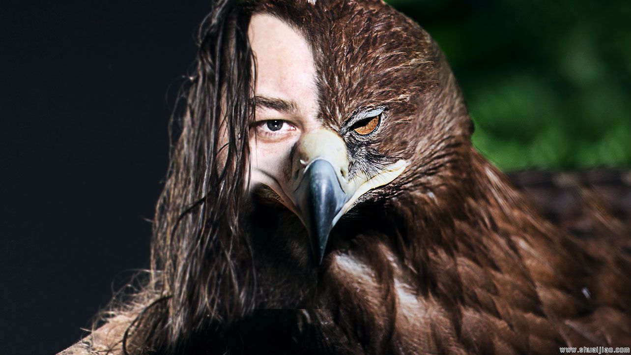 神级PS！WWE明星的动物形象！