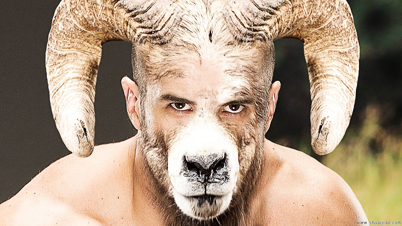 神级PS！WWE明星的动物形象！