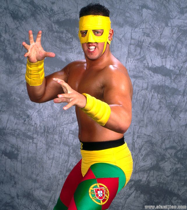 WWE史上100个奇特的面具选手