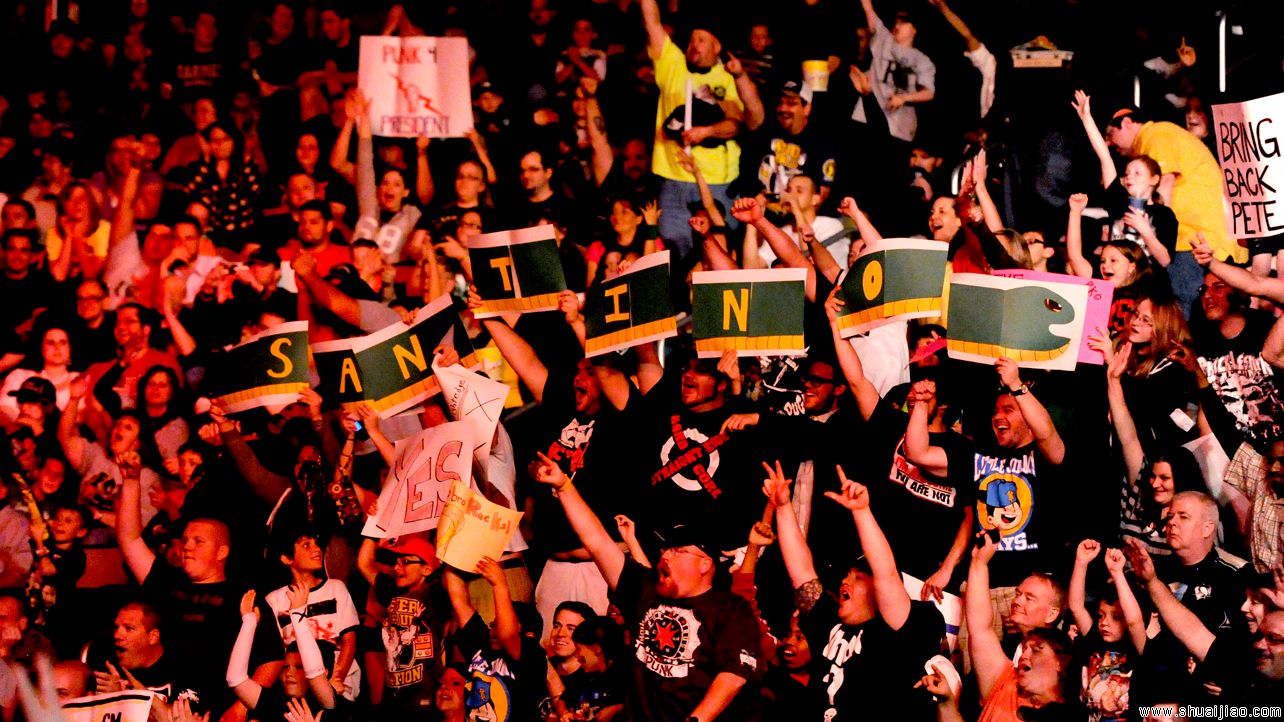 WWE近期最具创意的粉丝标语