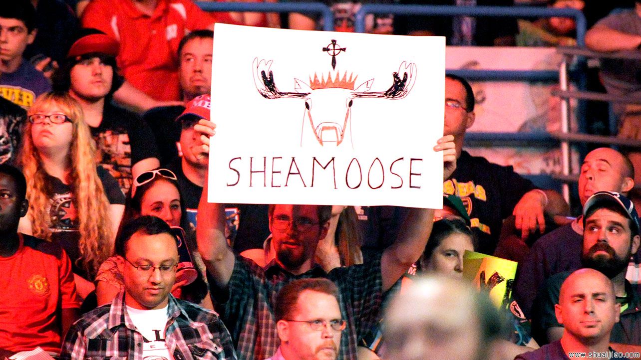 WWE近期最具创意的粉丝标语