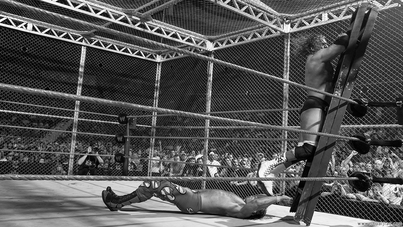 WWE最残忍的地狱牢笼赛Top50