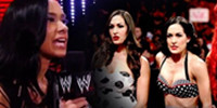 WWEAJ·李：我对Total Divas没兴趣啦