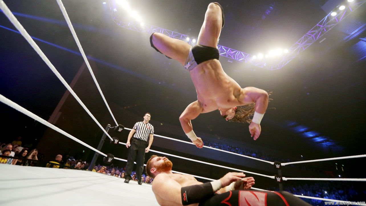 WWE英格兰伯恩茅斯现场秀（2014年11月）