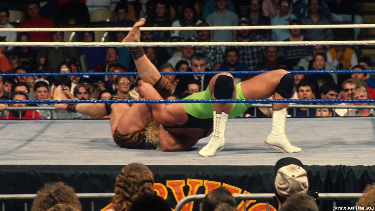 WWE强者生存幸存者回顾