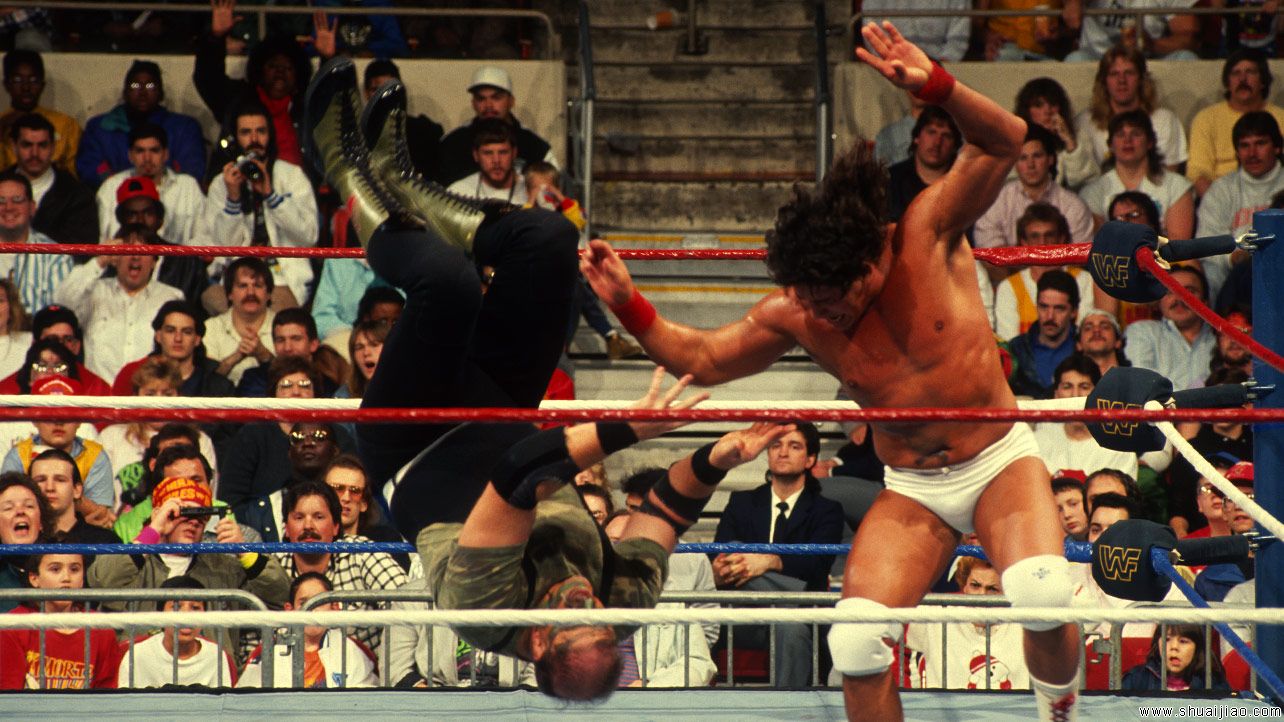 WWE强者生存幸存者回顾