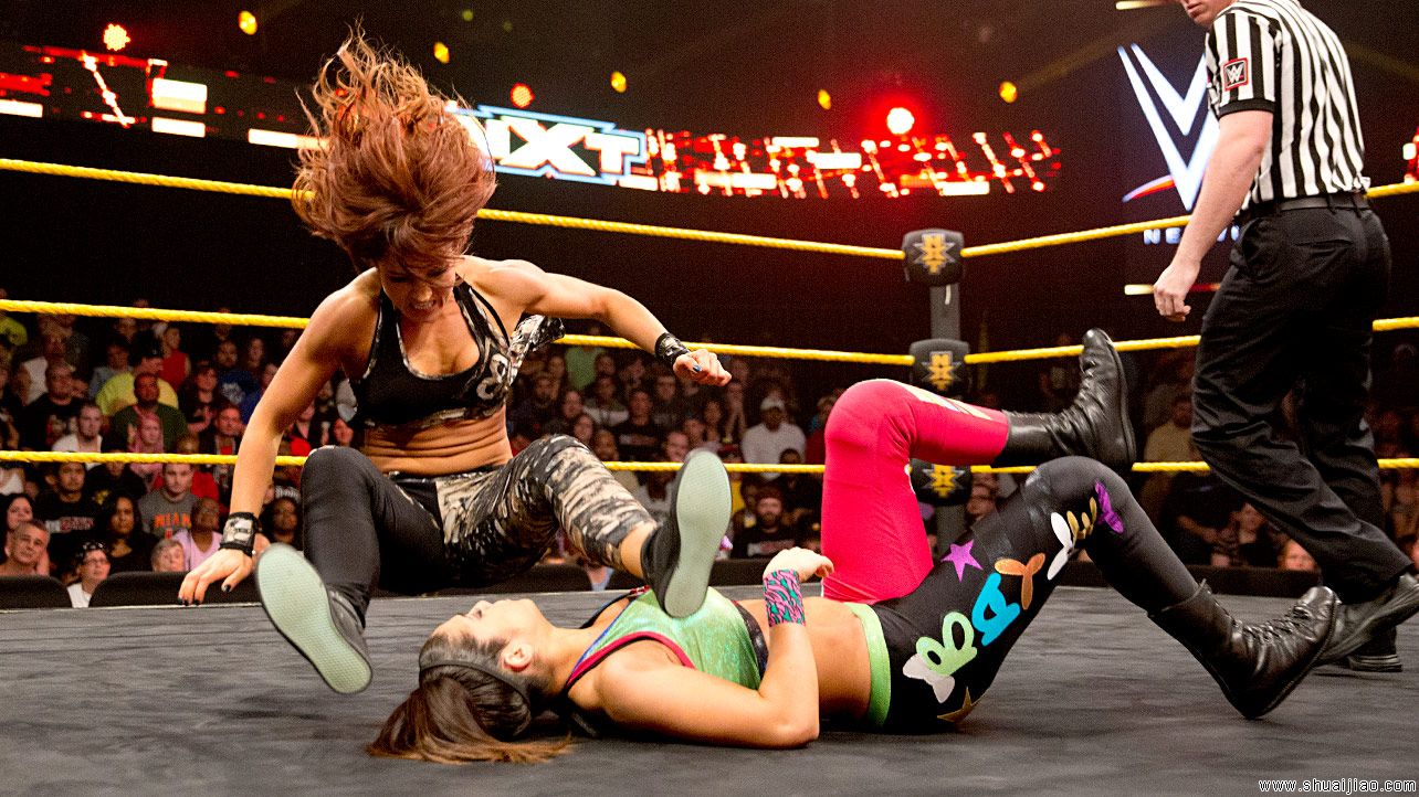 NXT 2014.11.021比赛图片