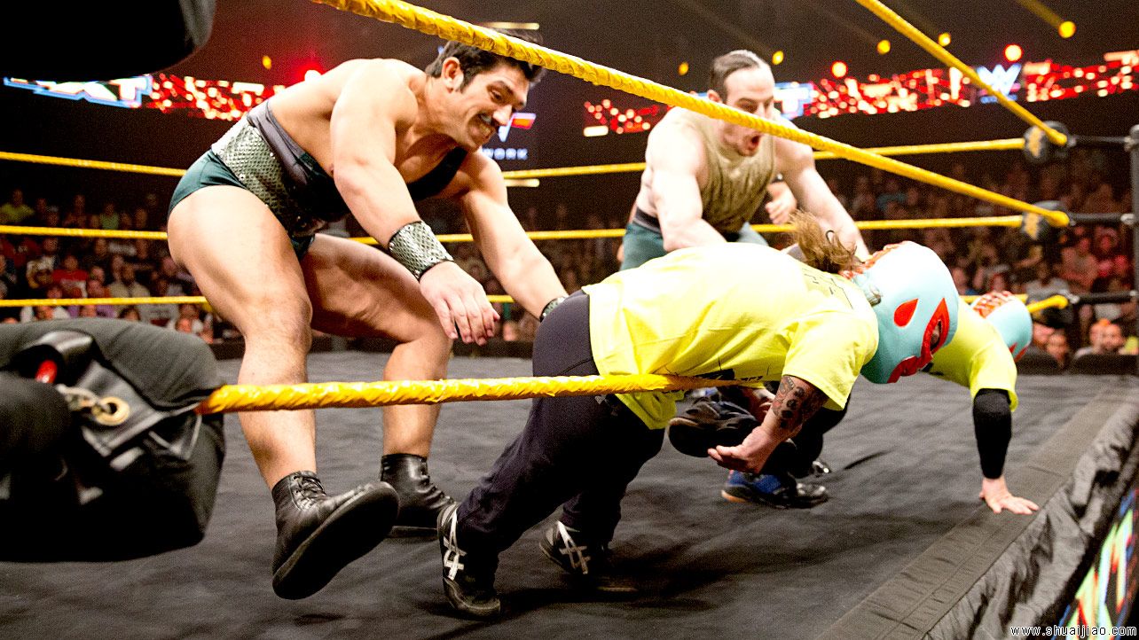 NXT 2014.11.021比赛图片
