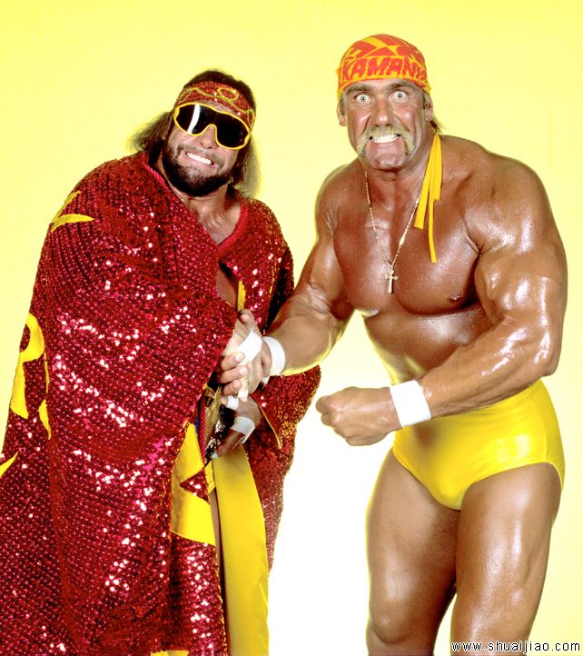 WWE强者生存史上出现过的所有团队组合